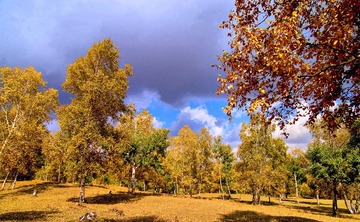 DSC_0621.jpg