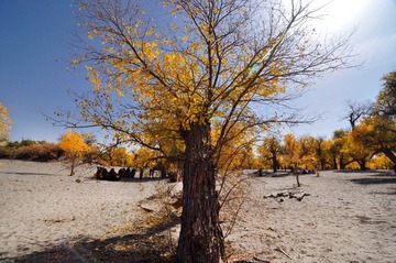 _DSC0039