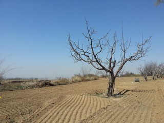 20140405_111319