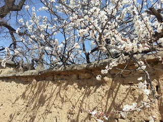 20140405_110333