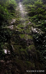 _DSC0085