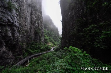 _DSC0204