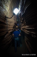 _DSC0632