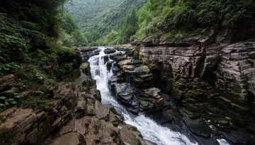 _DSC0798