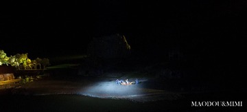 _DSC0411