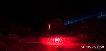 _DSC0416