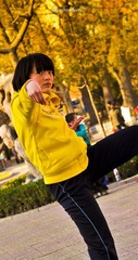 鹤拳