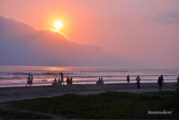 看海