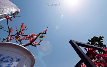 享受阳光