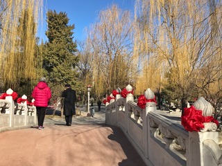 五彩秦淮