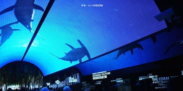 科技海底