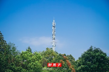 InterPhoto_1710913061709