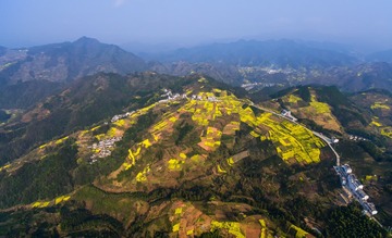 DJI_0003-1