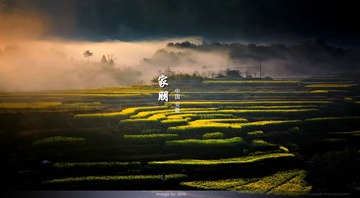 CF097396cx