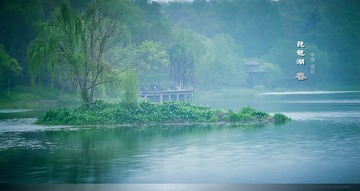 CF097462cx
