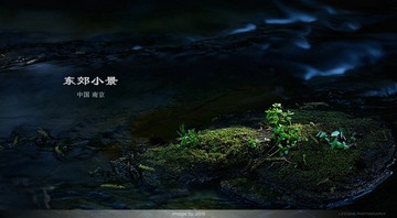 CF097506cx