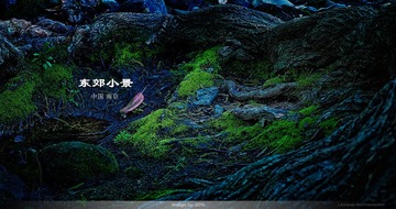 CF097549cx