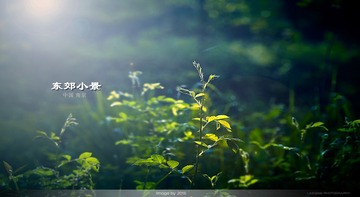 CF097552cx