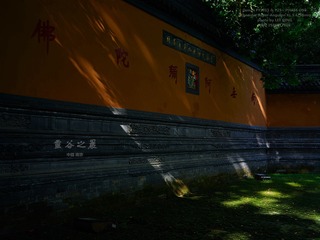 灵谷5