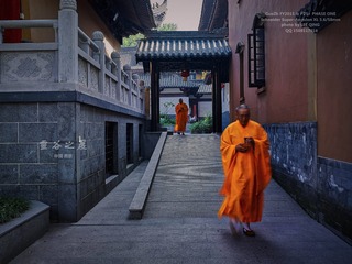 灵谷7