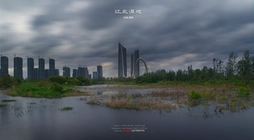 CF099062c