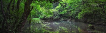 下馬坊