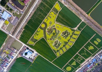 “DJI_0002 (4)”xb为智能对象-1