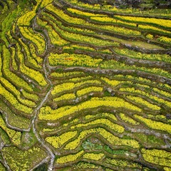 ?DJI_0061?xb?????-1