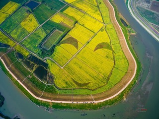 “DJI_0024 (3)”xb为智能对象-1