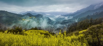 未标题_全景图6 拷贝