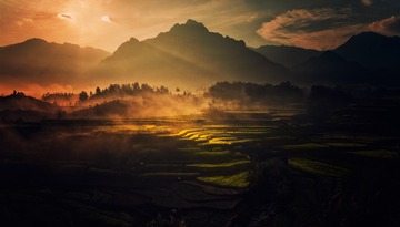 “CF097390”为智能对象-1