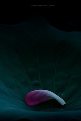 822813
