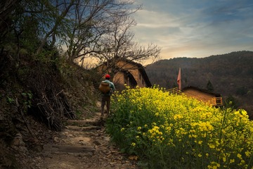 山村小路