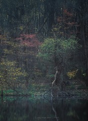 1430865