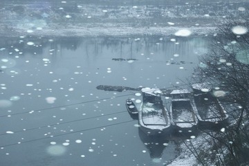 IMG_1491_