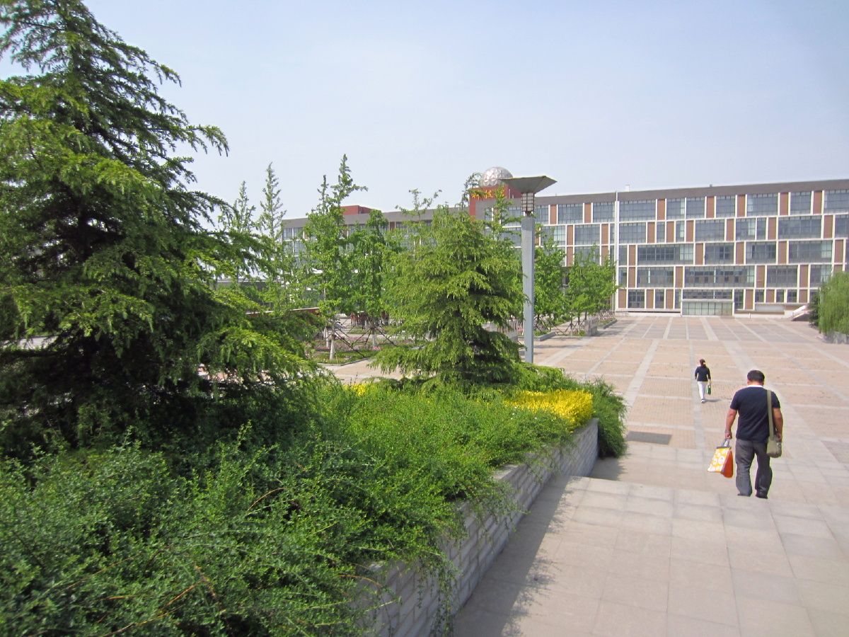 淄博中学风景图片