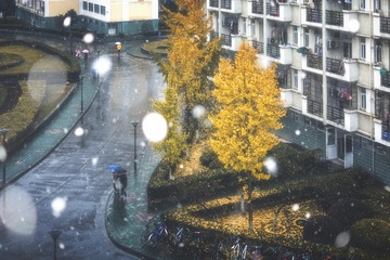 杭城初雪