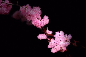 5F162243-A9FC-474B-B81F-C0DF8208F7E9/L0/001