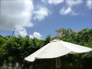 sunshine