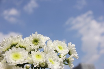 BLUE SKY!