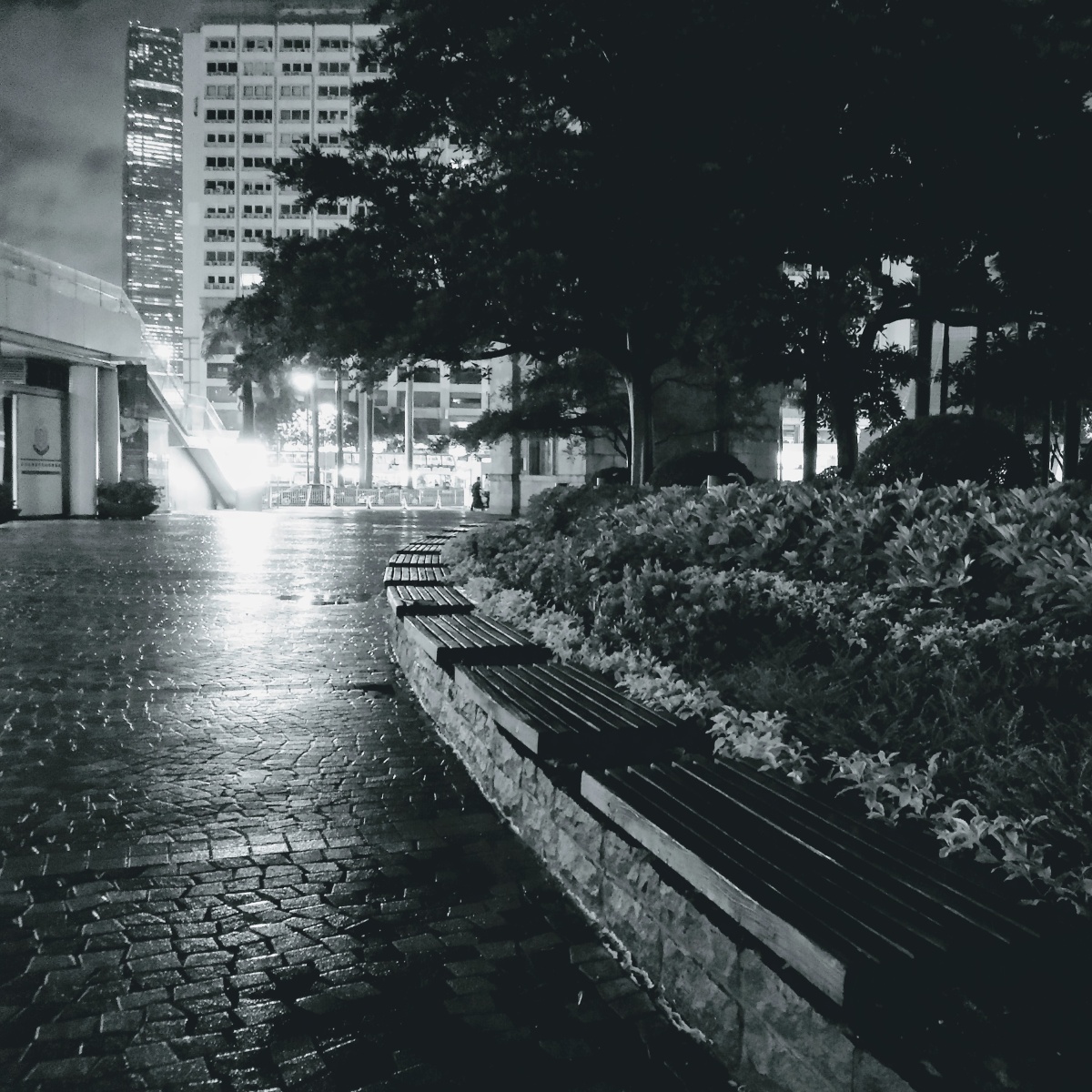 风雨中热门景点