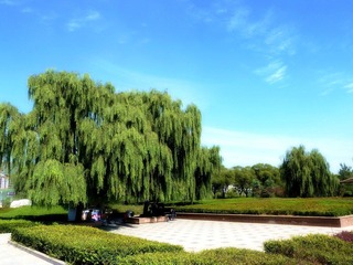 滨河花园.jpg