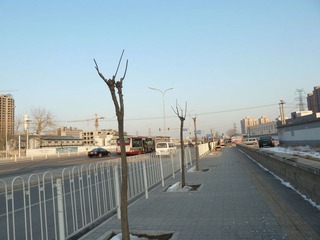 冷清的街道