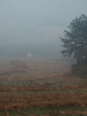 P1312475-5