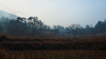 P1312485-7