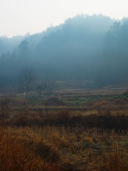 P1312490-9