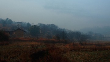 P1312495-10