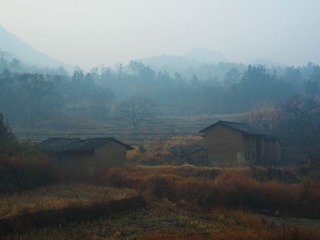 P1312496-11