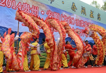 安顺龙宫油菜花节开幕