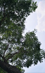 176761